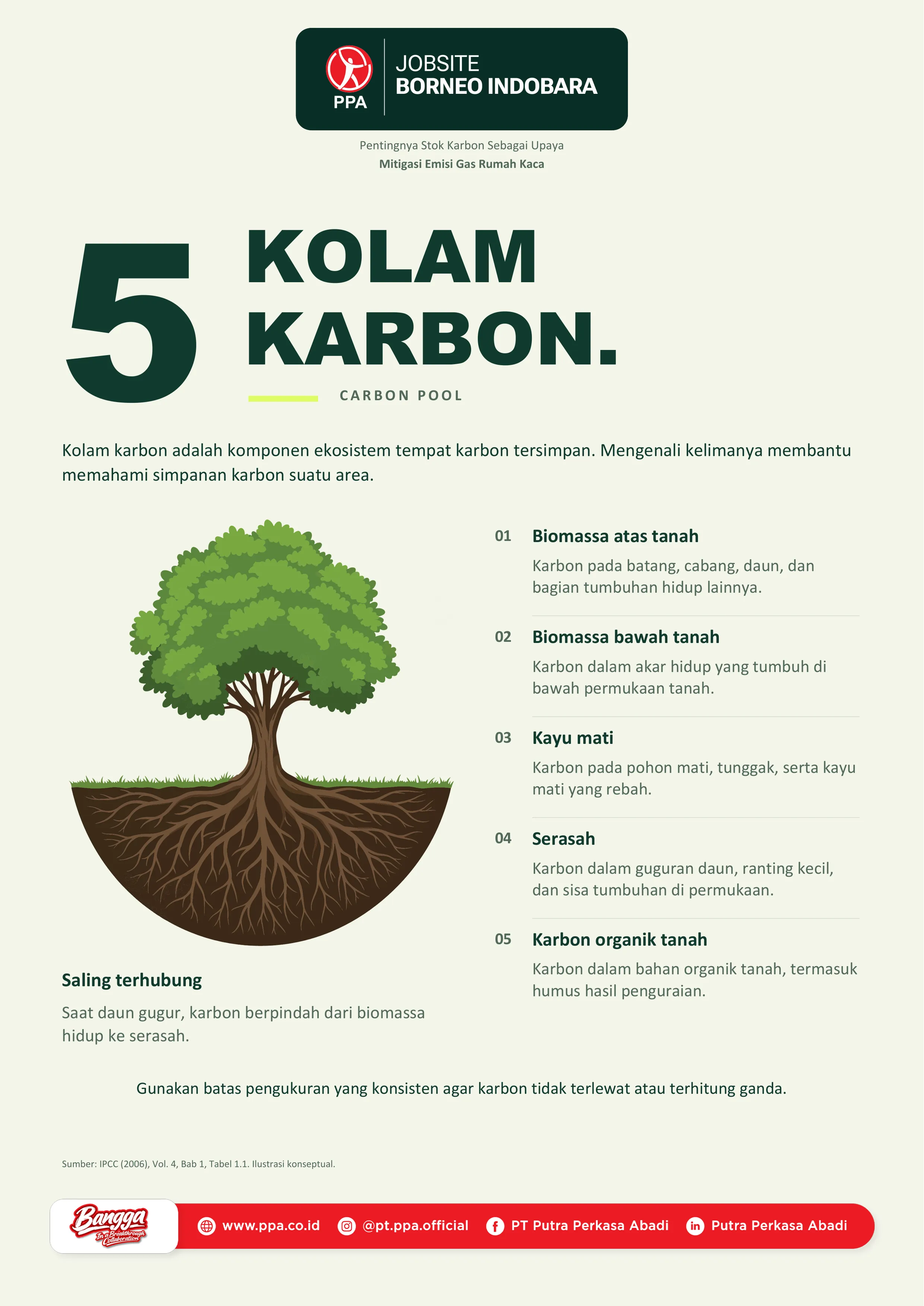 Mengenal 5 Kolam Karbon (Carbon Pool) dalam Menjaga Keseimbangan Ekosistem